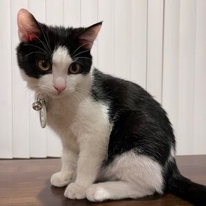 Meet your Posher, Rissa